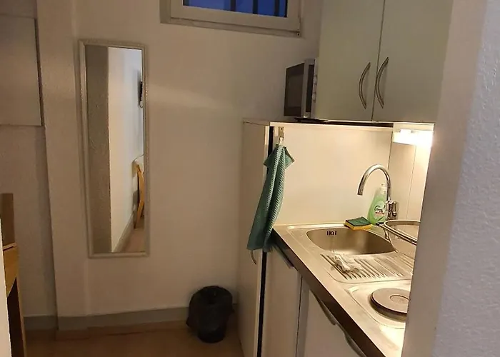 Studio Charmant Appartement Straatsburg